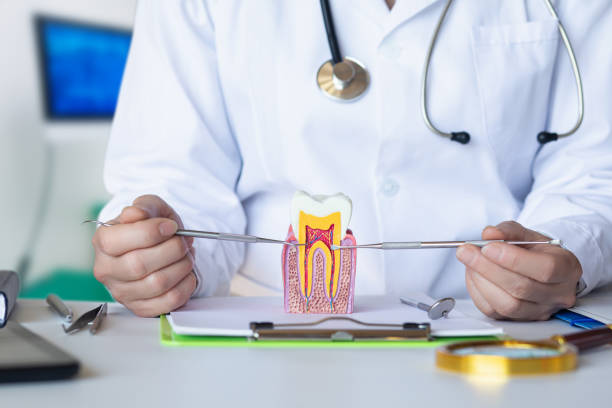 Best Emergency Dental Care for Sports Injuries in Sergeant Bluff, IA